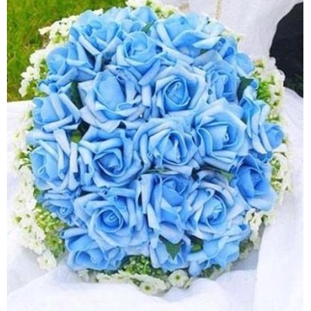 Blue Clues - 24 Stems In Bouquet